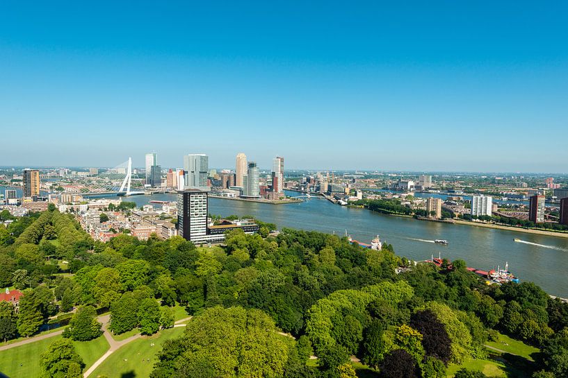 Stadsgezicht van Rotterdam met de Erasmusbrug. par Brian Morgan