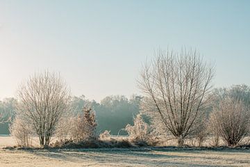 Frosted field at sunrise by Kay Wils