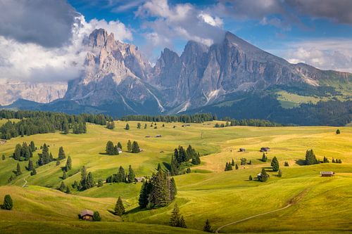 Alpi di Siusi, Breng de Adembenemende Schoonheid van de Dolomieten in Huis