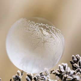 Eisglocke von Jeroen Mondria