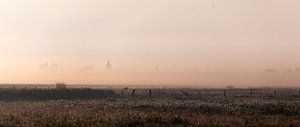 Photo panoramique d'une prairie brumeuse dans la lumière du matin