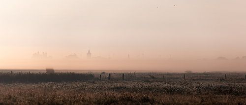 Panoramafoto mistige wei bij ochtendlicht