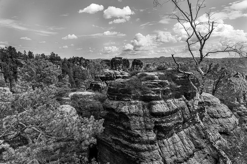 Blick über das Elbsandsteingebirge von Flatfield