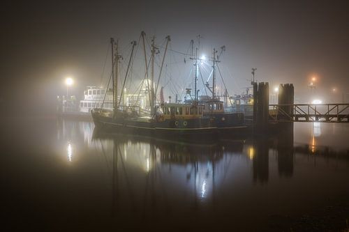 Kotters in de mist