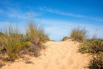 Duinwandeling in het zand, Algarve Portugal van SusaZoom