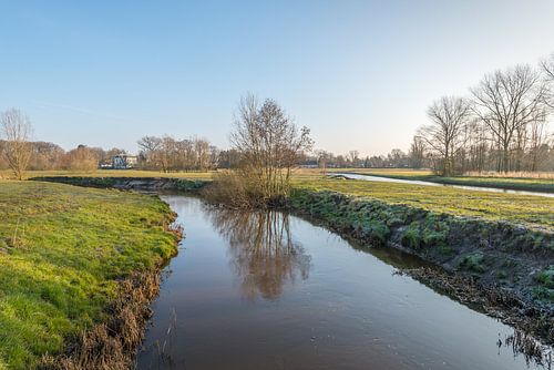 Bomen gereflecteerd in het water van een kreek