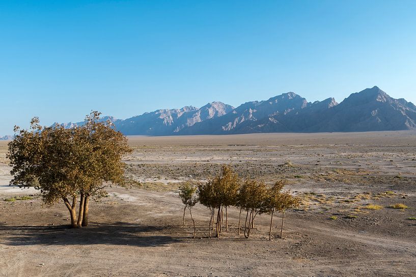 Iran: Zeinodin Caravanserai by Maarten Verhees