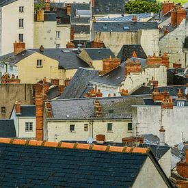 Roofs, chimneys and facades in France by Blond Beeld