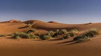 Sahara von Koos SOHNS   (KoSoZu-Photography) Miniaturansicht
