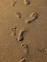 footprint in the sand