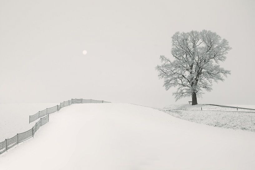 White Hillscape von Lena Weisbek