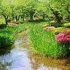 Jardins  japonais sur Inge Hogenbijl