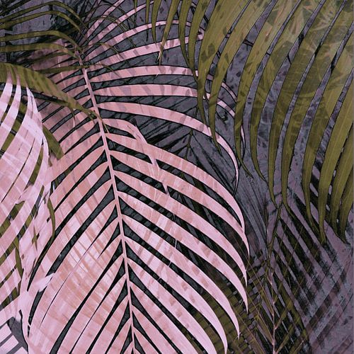 TROPICAL PASTEL POPPY LEAVES