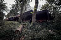 Train à vapeur urbex abandonné en Belgique par Steven Dijkshoorn Aperçu