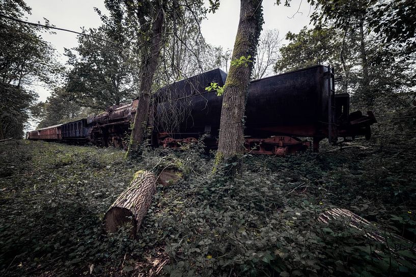 Train à vapeur urbex abandonné en Belgique par Steven Dijkshoorn