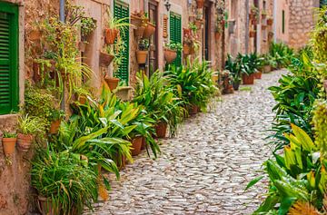 Idyllische straat in Valldemossa dorp op Mallorca, Spanje Balearen eilanden van Alex Winter