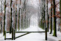 Winterdroom