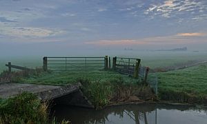 Stille am Morgen... von Petra Vastenburg