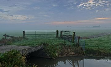 Stille am Morgen... von Petra Vastenburg