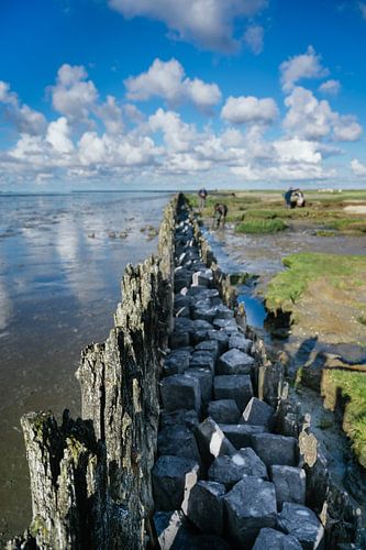 Landschapsfoto Friesland Moddergat 01