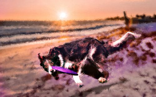 Genieten met het baasje aan het einde van de dag