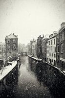 Heller und dunkler Hain in Utrecht bei einer Schneedusche im Vintage-Look (monochrom)