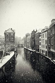 Heller und dunkler Hain in Utrecht bei einer Schneedusche im Vintage-Look (monochrom) von André Blom Fotografie Utrecht