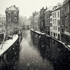 Bosquet clair et sombre à Utrecht lors d'une averse de neige à l'aspect vintage (monochrome) sur André Blom Fotografie Utrecht