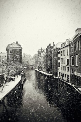 Bosquet clair et sombre à Utrecht lors d'une averse de neige à l'aspect vintage (monochrome)