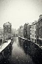 Bosquet clair et sombre à Utrecht lors d'une averse de neige à l'aspect vintage (monochrome) par André Blom Fotografie Utrecht Aperçu