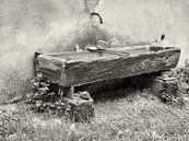 Detail of a water basin in black and white by Louis Kreuk thumbnail