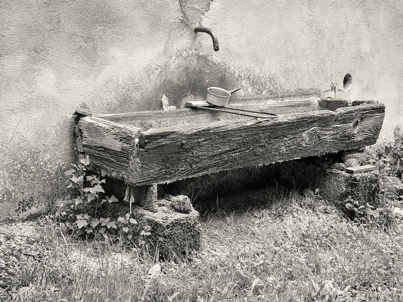 Detail of a water basin in black and white by Louis Kreuk