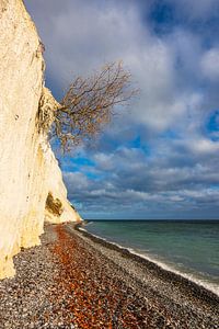 Ostseeküste auf der Insel Moen in Dänemark
