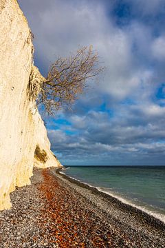 Baltic Sea coast on the island Moen in Denmark van Rico Ködder