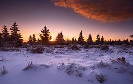 Winter feelings in the Harz Mountains by Steffen Henze