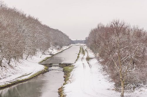 Winters landschap