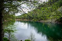 Schotland - An Lochan Uaine - Het Groene Meer