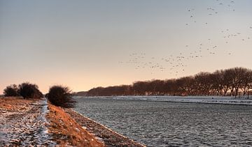 Vogels vliegen over het beesneeuwde kanaal door Walcheren van Percy's fotografie