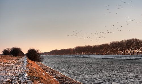 Vogels vliegen over het beesneeuwde kanaal door Walcheren