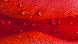 wet valley van mick agterberg