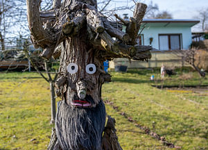 Baumgesichter und Waldgeister in einem Garten