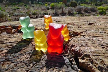 Gummi Bear and his pals