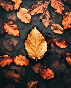 Herbststimmung