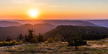 View from the Hornisgrinde over the Black Forest by Werner Dieterich