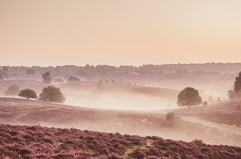 Heather Posbank by Nancy van Verseveld
