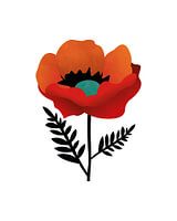 Coquelicot abstrait