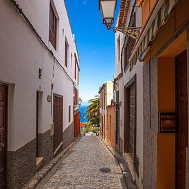 Alley in Icod de los Vinos by Alexander Wolff