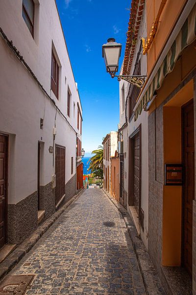 Alley in Icod de los Vinos by Alexander Wolff