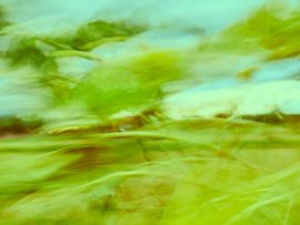 Sonnenblumen im Wind 7 van Andreas Gerhardt