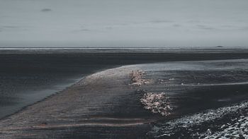 Exposed – The Wadden Sea in winter